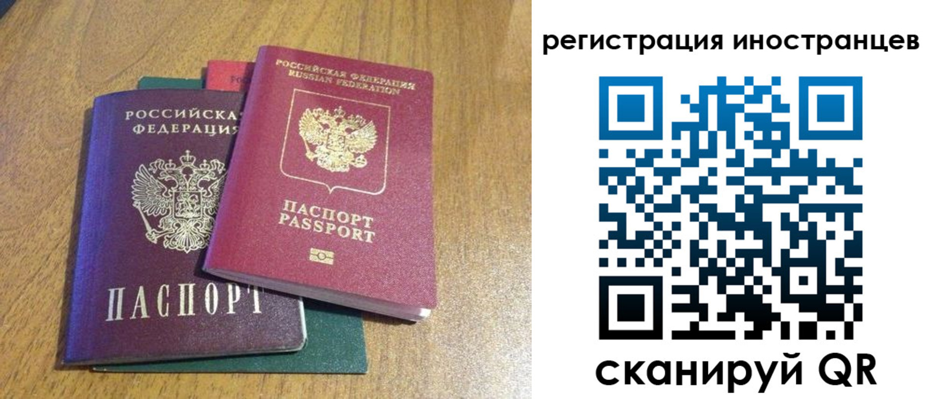 временная регистрация поиск в Чечне